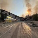 У Новоросійську зупинились зернові термінали – СМИ