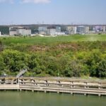 У Румунії почали процедуру зупинки АЕС через обміління Дунаю