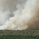 Вогонь знищив тисячі гектарів заповідника у Бельгії