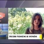 У Європі палають ЛІСОВІ ПОЖЕЖІ. Яка ситуація в УКРАЇНСЬКИХ лісах?