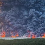 ЗСУ вивели з ладу сім найбільших хабів Wildberries